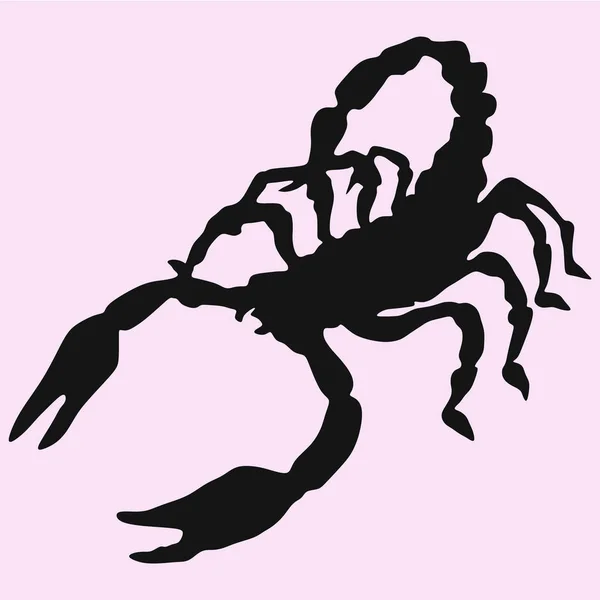 Skorpion sylwetka wektor — Wektor stockowy