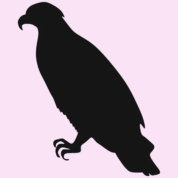 Silueta vector águila — Archivo Imágenes Vectoriales