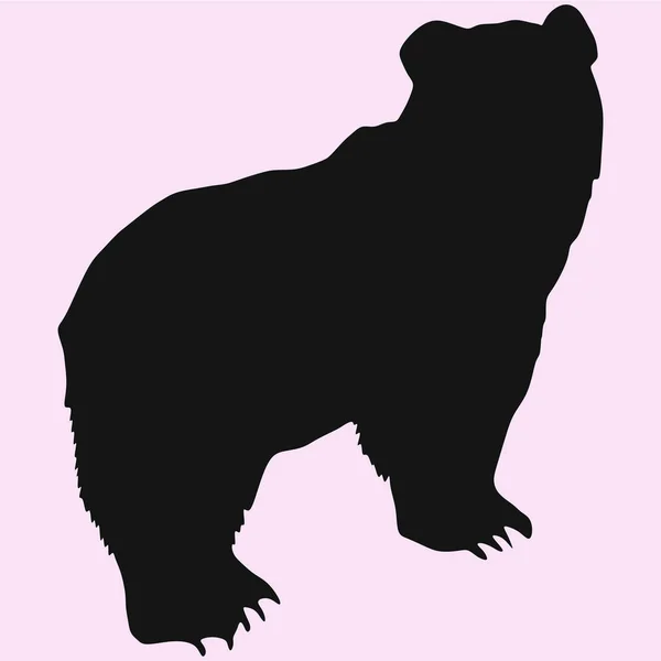 Big bear silhouette — Stock Vector