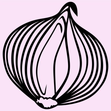 ampul soğan vektör