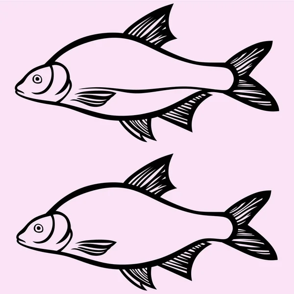 Silueta vector de peces — Vector de stock