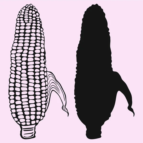 Изолированный Кукурузный Векторный Силуэт — стоковый вектор