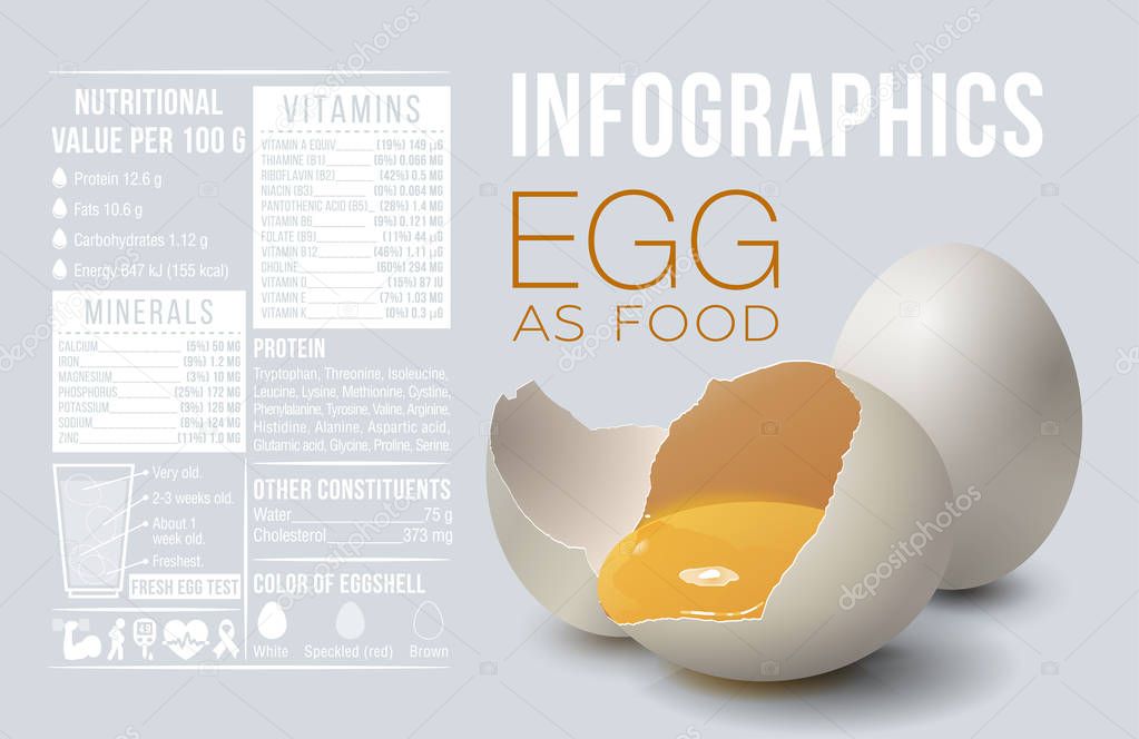 Egg infographics. Egg as food. Design template, vitamins and