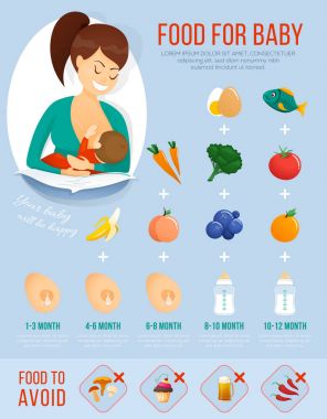 Bebek Infographic gıda. Bebek maması hakkında kavram afiş. vektör çizim.