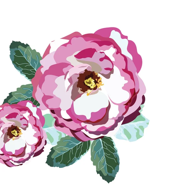 Acuarela Rosa Rosa flores aisladas — Archivo Imágenes Vectoriales
