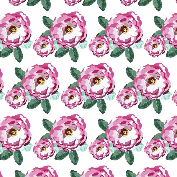 Aquarel roze rozen patroon — Stockvector