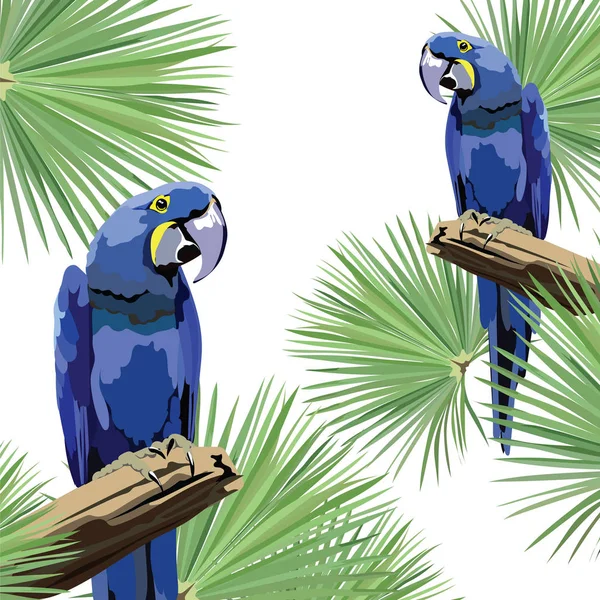 Carte tropicale exotique avec oiseaux perroquets — Image vectorielle