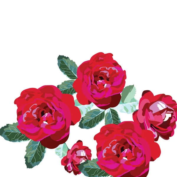Buquê de rosas vermelhas isolado no branco — Vetor de Stock