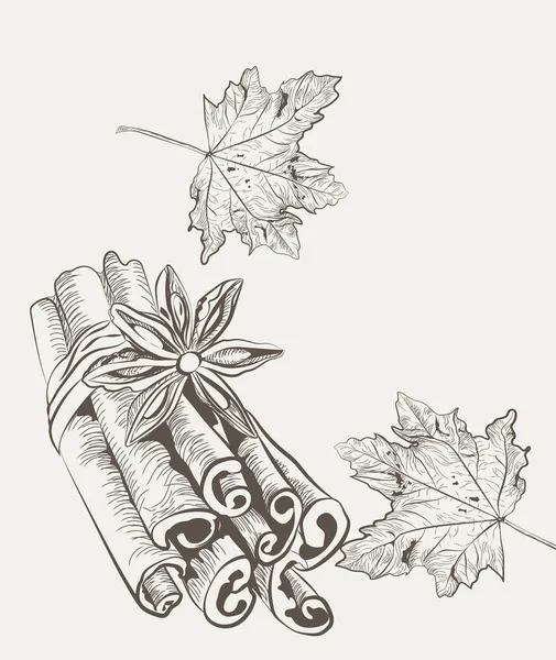 Anise e canela Ilustração gravada — Vetor de Stock