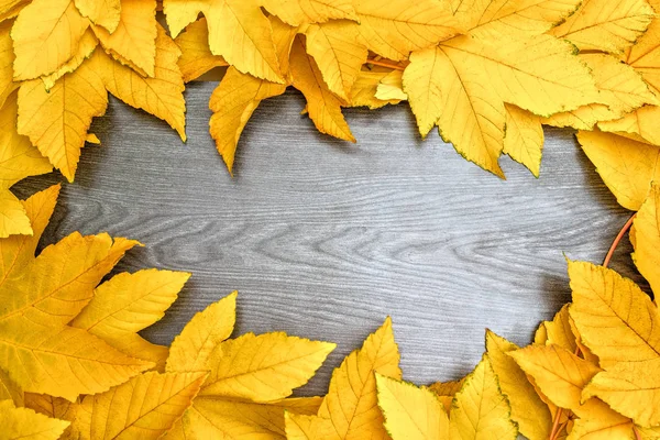 Herbstgelbe Ahornblätter auf schwarzem Holzbrett — Stockfoto