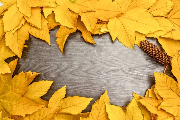 Herfst geel Maple laat op houten plank — Stockfoto