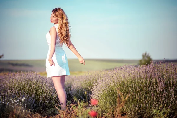 Una ragazza in abito bianco nel campo di lavanda — Foto Stock