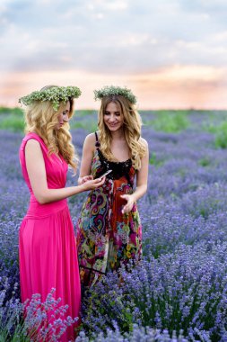 İki kız bir lavanta alanında eğleniyor