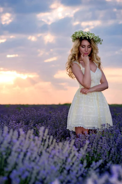 Ragazza in lavanda Campo al tramonto — Foto Stock