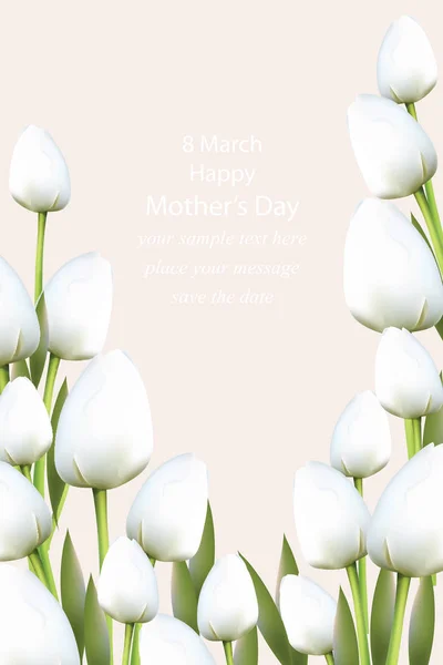Flores brancas de tulipas florescem ilustração vetorial. Belo cartão postal de primavera para casamentos, aniversário, aniversário. Ilustração vetorial — Vetor de Stock