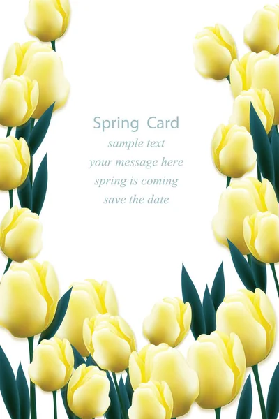 Flor de tulipán amarillo Ilustración vectorial. Hermosa postal de primavera para bodas, cumpleaños, aniversario. Ilustración vectorial — Vector de stock