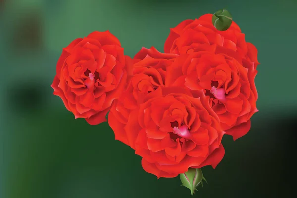赤いバラの花カード背景。結婚式、誕生日、記念日のための美しいはがき。ベクトル図 — ストックベクタ