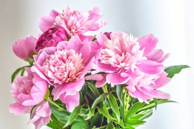 Şakayık çiçekleri buketi. Bahar taze doğal kompozisyon