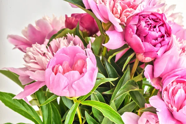 Ramo de flores de peonía. Composición natural fresca de primavera — Foto de Stock