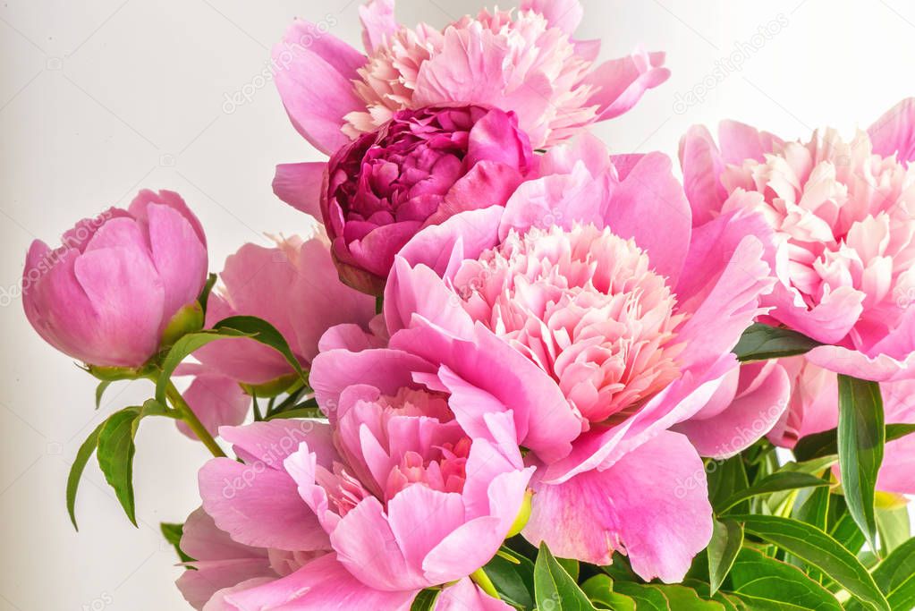 Peony flowers bouquet. Springtime fresh natural composition