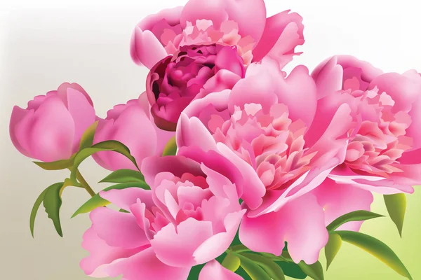 Ramo de flores de peonía. Composición natural fresca primavera Ilustración vectorial — Archivo Imágenes Vectoriales
