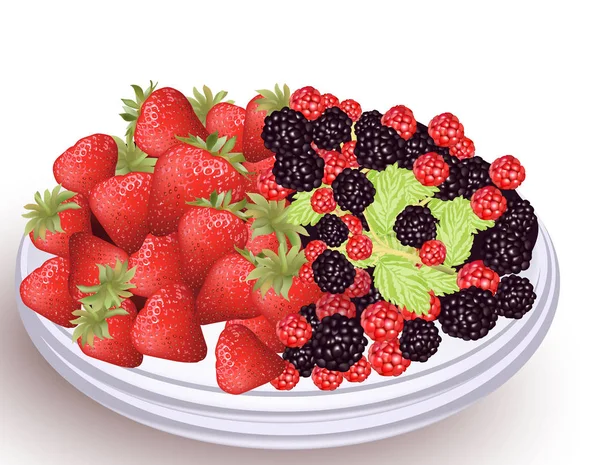 Frutas frescas de fresa y mora en un plato blanco. Ilustración vectorial — Archivo Imágenes Vectoriales