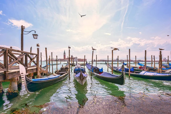 Grande canal em Veneza, Piazza San Marco. Gaivotas liberdade de água. Visão serena. Paisagem urbana panorâmica com gôndolas — Fotografia de Stock