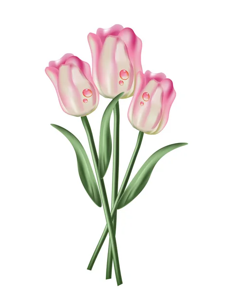 Tulipán květy kytice s kapkami vody. Jarní letní slavnostní vektorové ilustrace — Stockový vektor