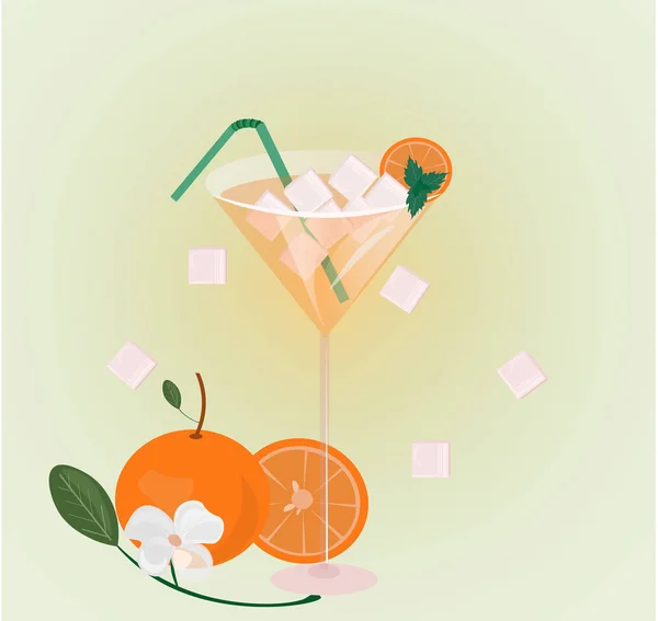 Orangenfrüchte frisches Cocktailglas. Sommer-Drink-Vektorillustration — Stockvektor