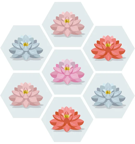 睡莲花儿设置模式矢量图花季节 — 图库矢量图片