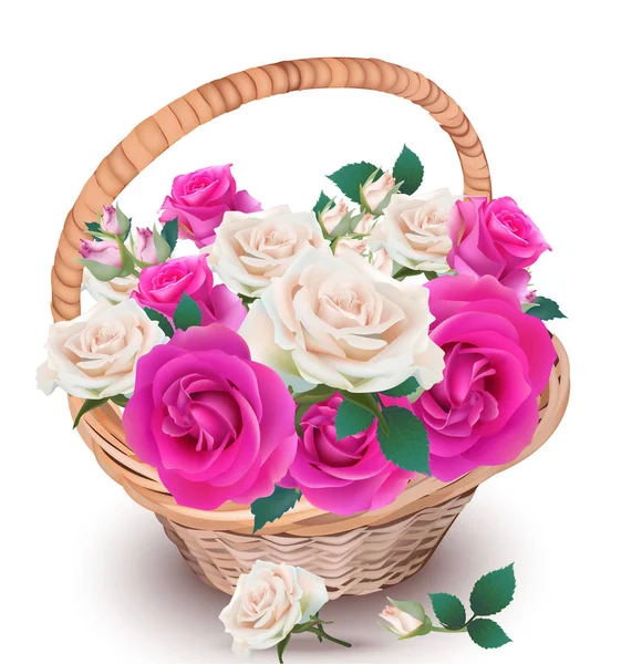 Pink and cream roses in a basket Vector. Beautiful realistic flowers decor. Springtime Summer fresh natural composition provence style — Stock Vector