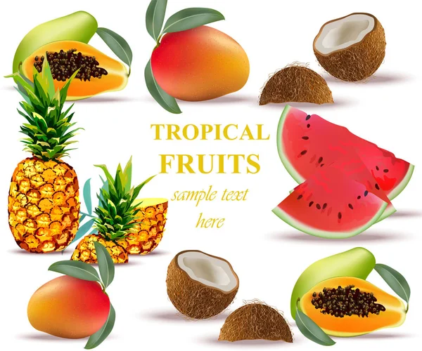 Tropikal meyve vektör toplama. Taze ananas, mango, Hindistan cevizi, papaya karpuz — Stok Vektör