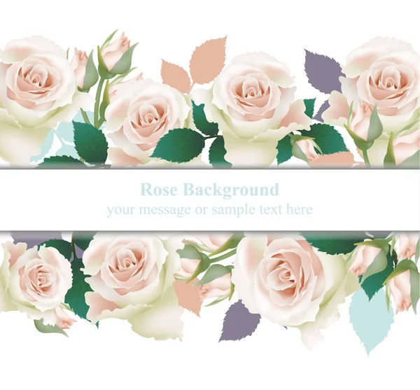 Rosa delicada tarjeta rosas Vector. delicada tarjeta de verano. Composición natural fresca de primavera — Archivo Imágenes Vectoriales