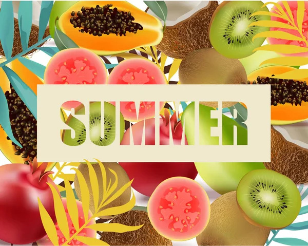 Yaz meyveler avokado, papaya, kivi, nar, palm vektör yaprak