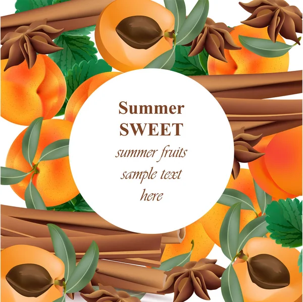 Letní appricot a skořice pozadí vzorek vektorové — Stockový vektor