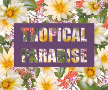 Tropic cennet kartı. Vektör papatya çiçeği yaz füzyon arka plan