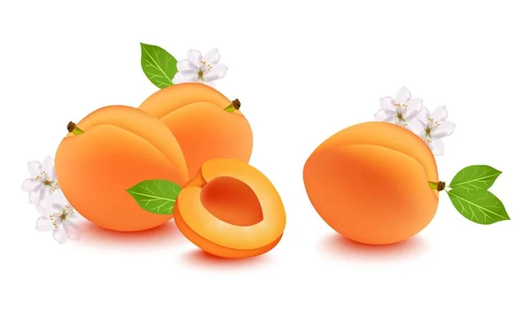 Pêssego realista e flor flor Vector ilustração. Frutas frescas sobre fundo branco —  Vetores de Stock