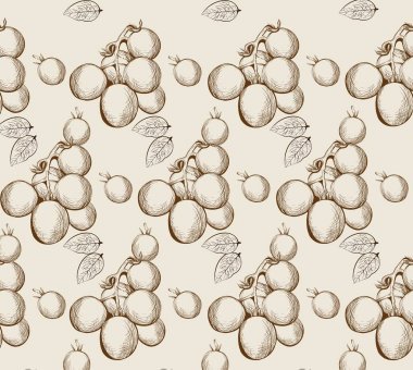 Kiraz domates vektör elle çizilmiş Hat sanatı. Grafik stili çizimler