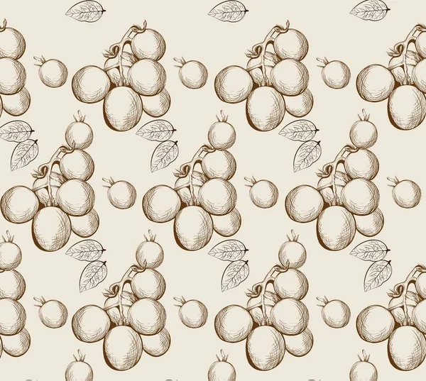 Kiraz domates vektör elle çizilmiş Hat sanatı. Grafik stili çizimler