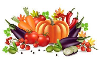 Sebze sonbahar hasat vektör. Gerçekçi kabak, patlıcan ve domates. Sonbahar sezonu illüstrasyon