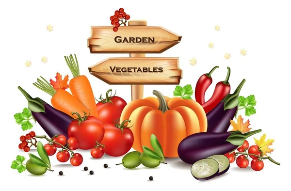 Vegetables autumn harvest with wooden sign. Place for text. Vector realistic pumpkin, eggplant and tomatoes. Fall Season illustration — Stock Vector