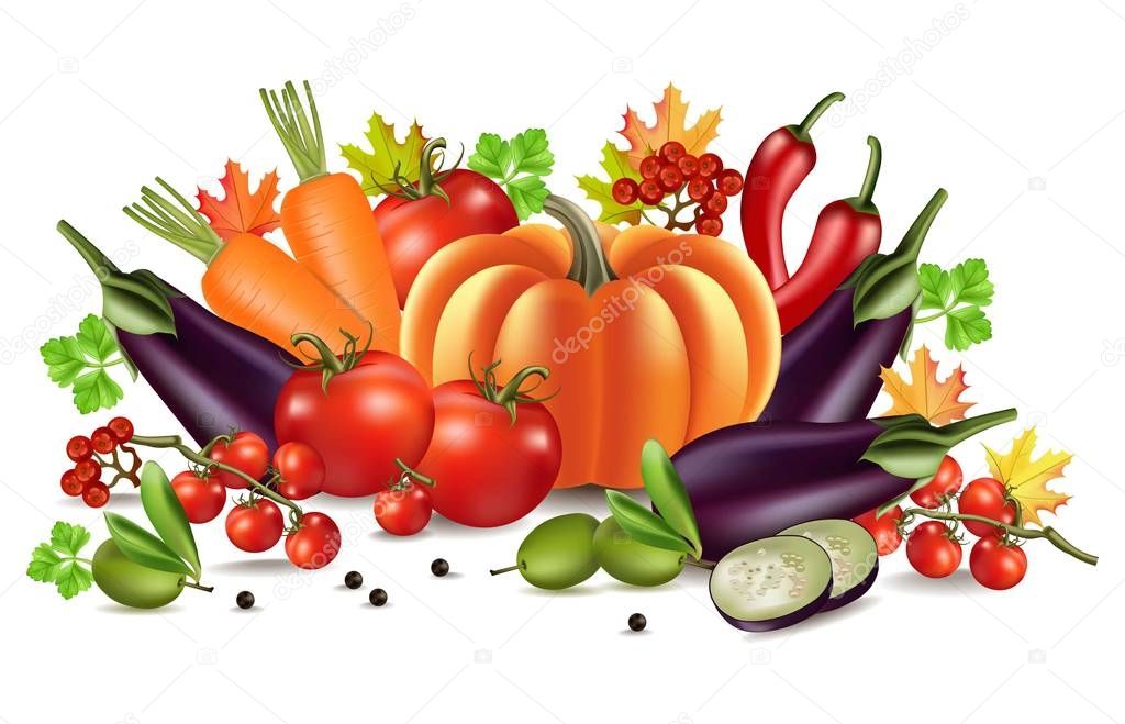 Vegetables autumn harvest Vector. Realistic pumpkin, eggplant and tomatoes. Fall Season illustration