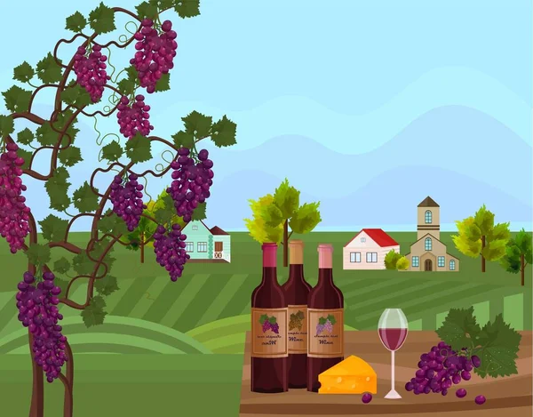 Bouteilles de vin et fond de vigne Vector. Décors de ferme verte — Image vectorielle