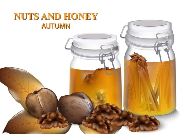 Miel y frutos secos griegos Vector realista. Sabores de otoño detalles — Vector de stock