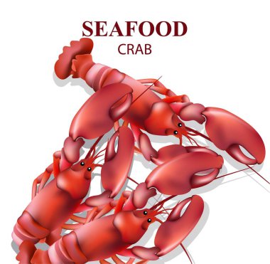 Beyaz izole karides. Gerçekçi vektör deniz ürünleri