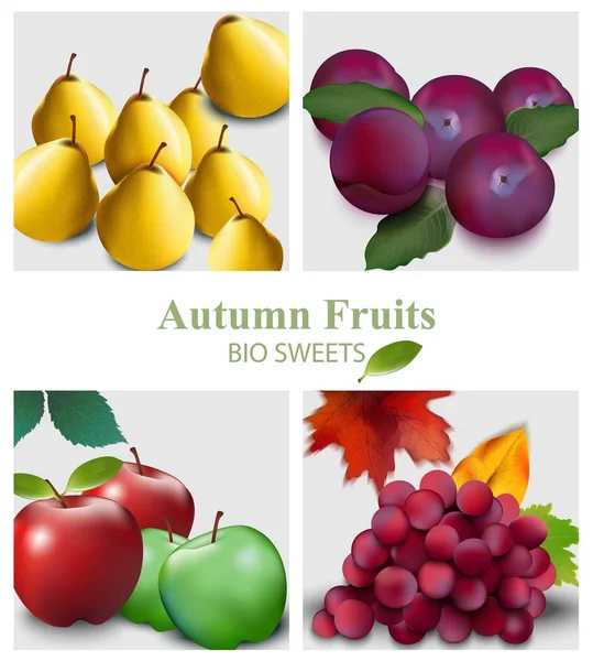 Frutas definir Vector realista. Pêra, maçã, uvas e ameixas —  Vetores de Stock