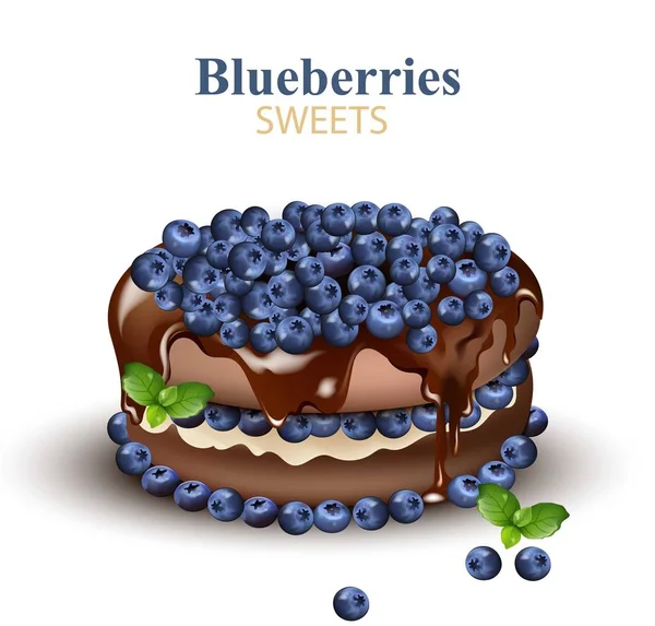 Blueberries chocolate cake Realistic Vector — Stock Vector