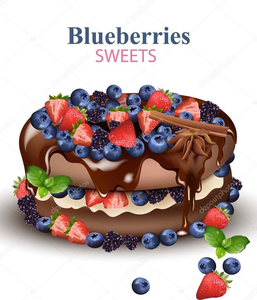 Strawberry and Blueberries chocolate cake Realistic Vector illustration on white backgrounds