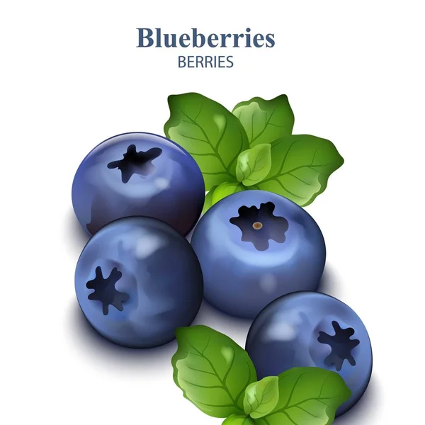 Blueberries isolated on white backgrounds Vector realistic — Stock Vector