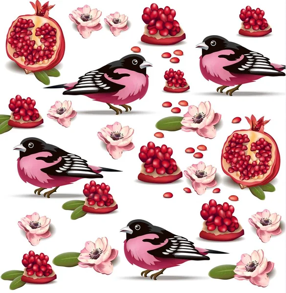 Pájaro rosado y patrón de fruta de granada Vector. Ilustraciones detalladas realistas — Vector de stock